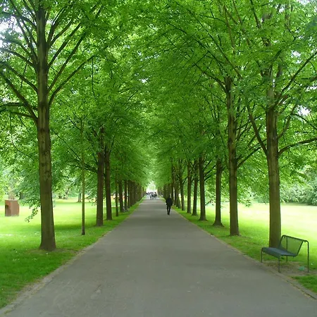 Apartmán Rheinaue *