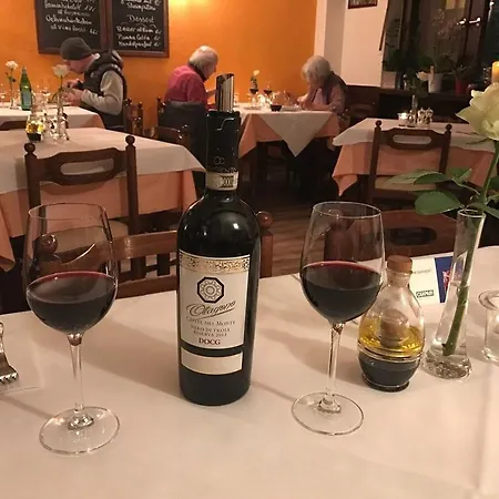 Rheinaue Lägenhet Köln