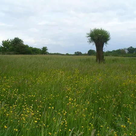 Rheinaue Kolonia