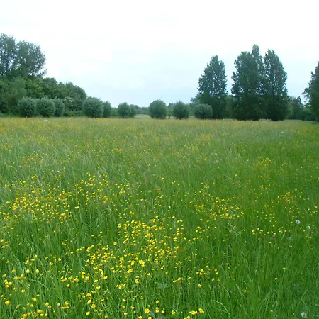Apartament Rheinaue