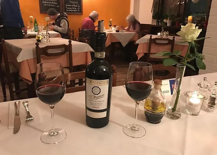 Rheinaue 아파트 쾰른