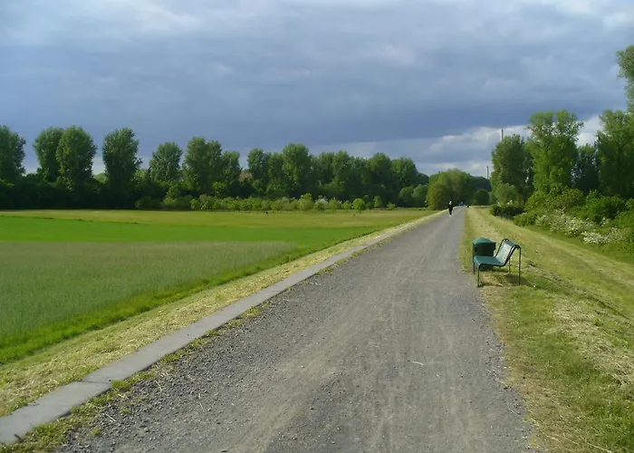 Rheinaue *