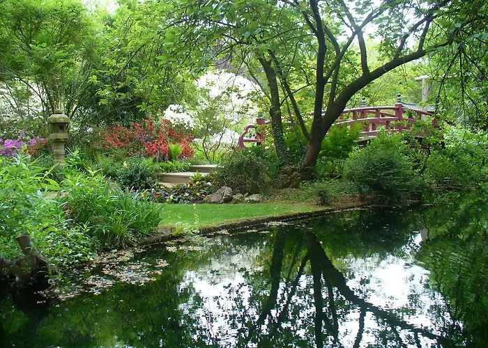 Rheinaue *